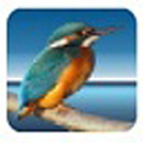 Highlightv3.53