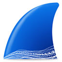 Wireshark客户端v4.4.6